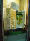 Fvrier 2005 : Lancement Serum Vinoperfect Caudalie